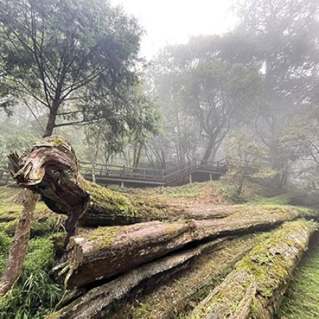 LINE_ALBUM_2023107第一天_231106_169