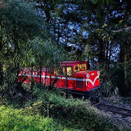 LINE_ALBUM_2023108第二天_231106_29